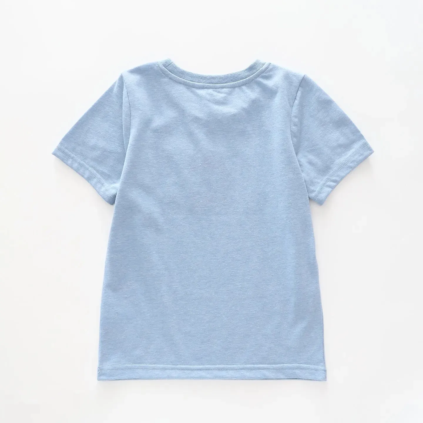 Boy's Sky Blue And Orange Striped T-Shirt