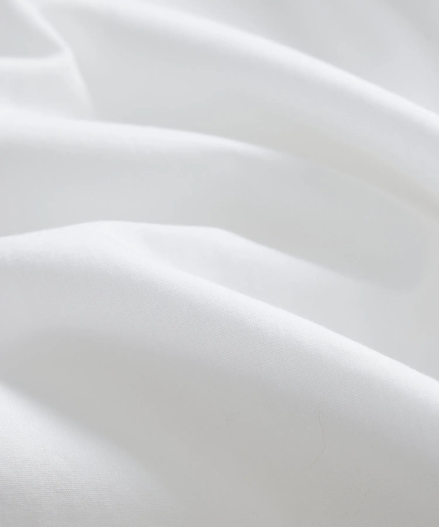 Cotton Poplin Point Collar Shirt